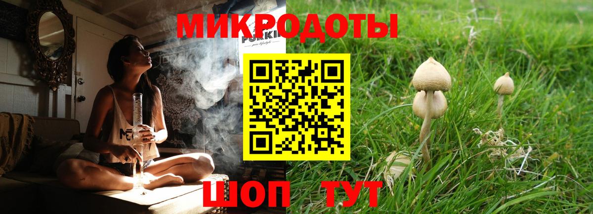 Галлюциногенные грибы Cubensis  Галлюциногенные грибы ЛСД  Вход с VPN  Камышлов 