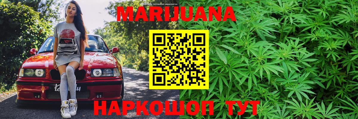 Конопля сатива Камышлов